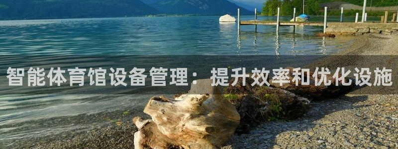 必一体育在哪下：智能