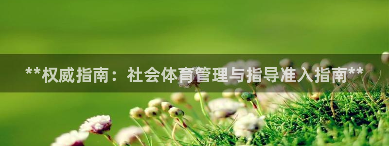 必一体育运动app下
