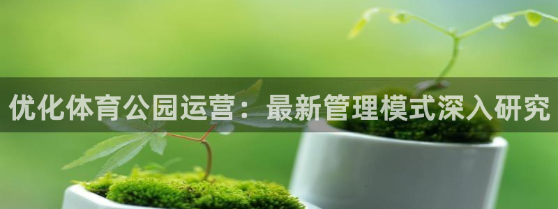 必一体育app官方正