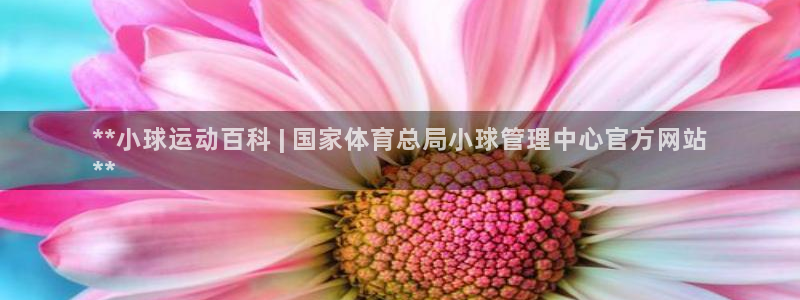 必一体育验证码：**