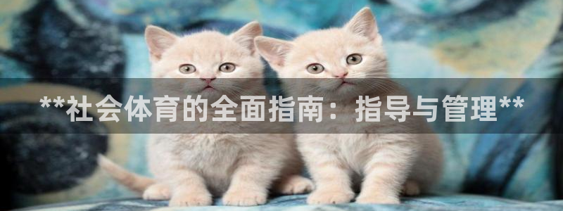 必一体育全站在线登录