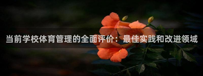 必一体育下载登入：当