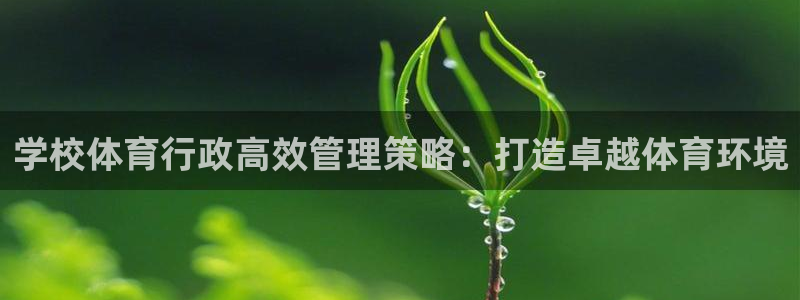必一体育运动下载：学