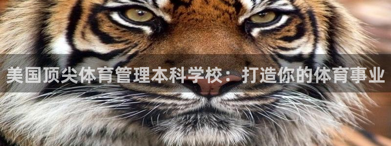 必一体育在线官网：美
