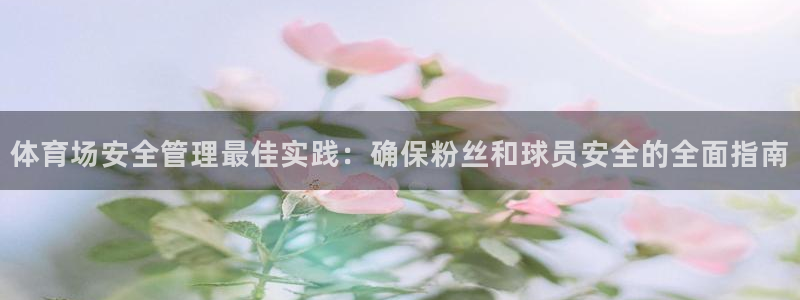 必一体育sportB