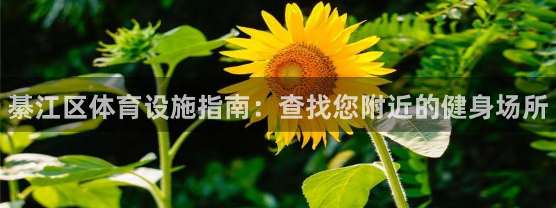 必一体育在线登录：綦