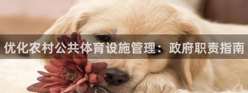 必一体育游戏特色：优