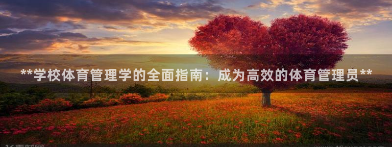 必一体育下载意思：*