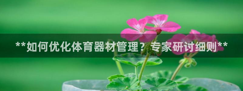 必一体育电子app：