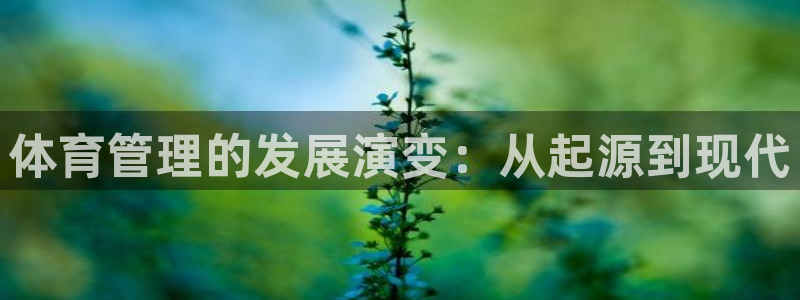 必一体育sport网