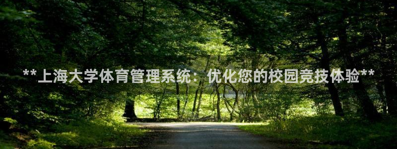 必一体育全站在线登录