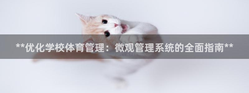 必一体育全站在线登录