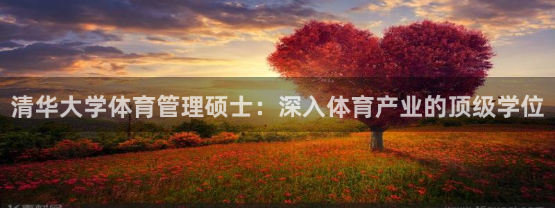 b体育官网下载入口a