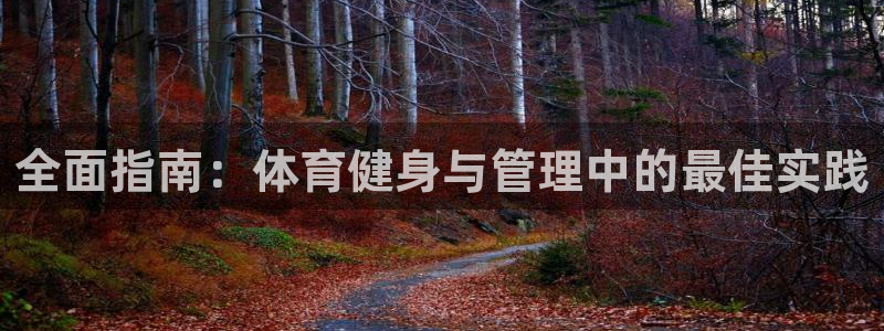 必一体育运动平台官网