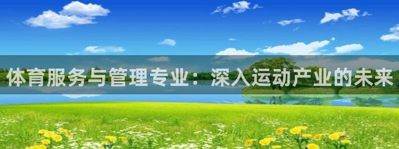 必一体育电子app：