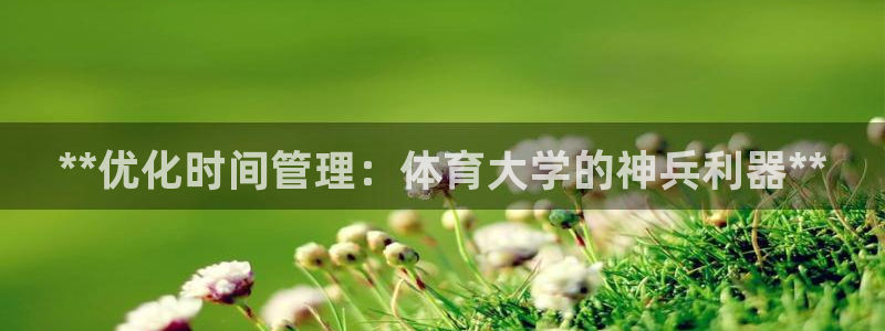 必一体育黑钱：**优