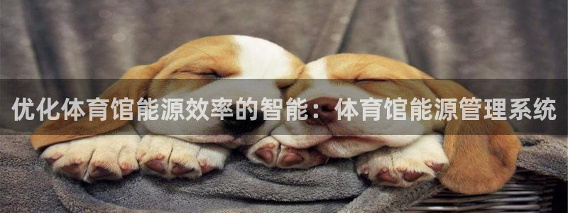 必一体育app下载最