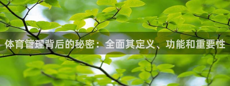 必一体育bsport