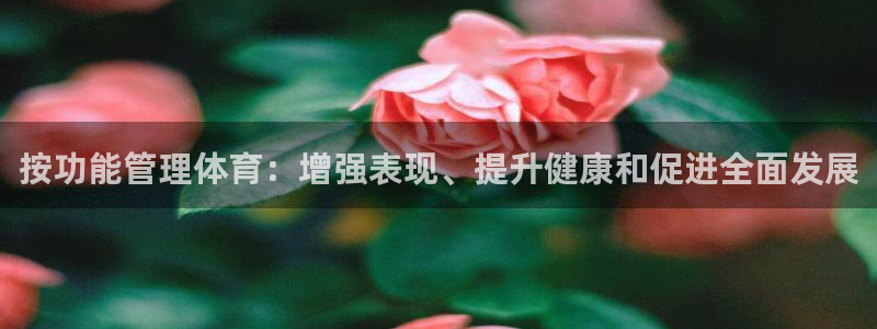 必一体育下载：按功能