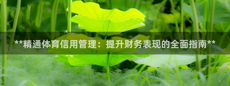 必一体育sport官