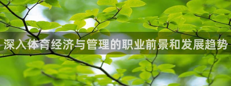必一体育：深入体育经