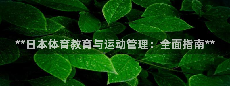 必一体育app官方网