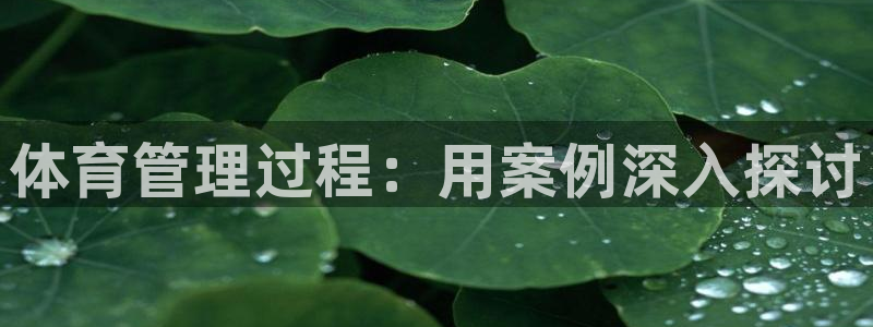 必一体育sport官