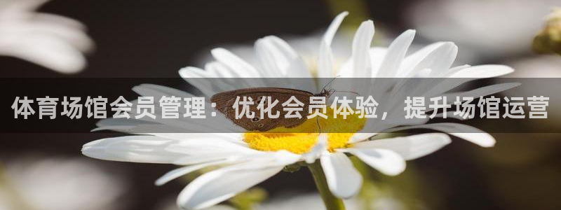 必一体育网页登陆：体