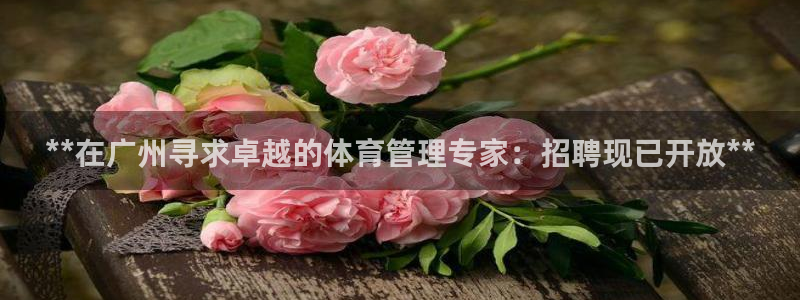 必一体育旧版：**在