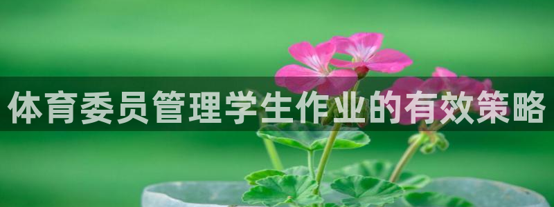 必一运动官网：体育委