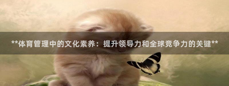 必一体育官方入口：*