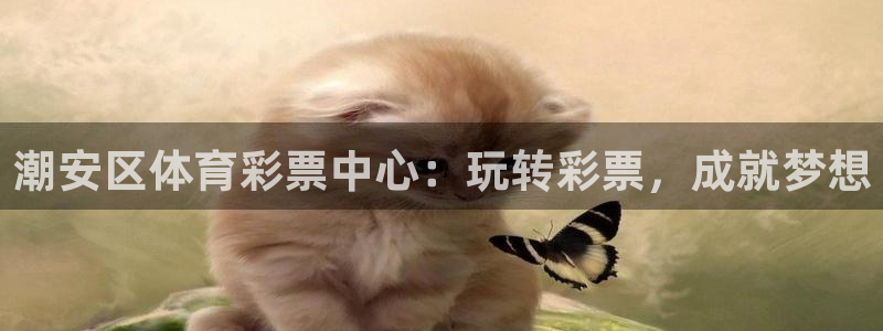 必一运动bsport