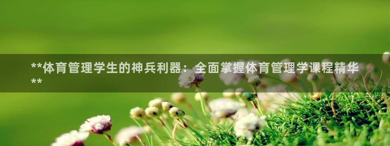 必一体育服下载最新版