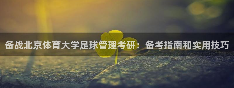 必一体育sport官