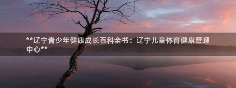 必一体育在线下载：*