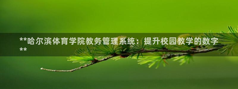 必一体育网站：**哈