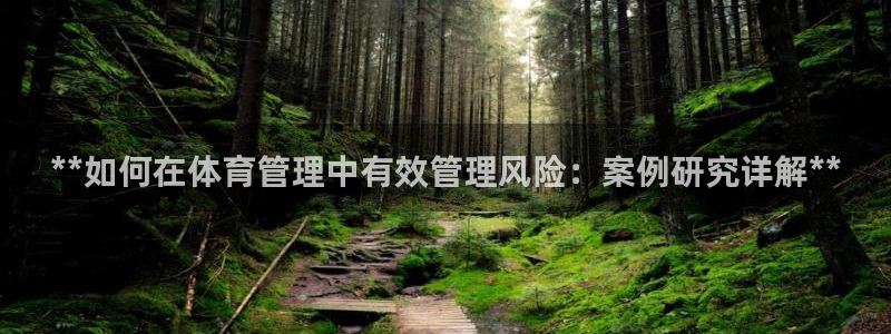 必一体育sport：