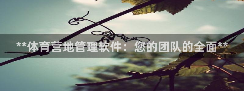 必一体育登录：**体