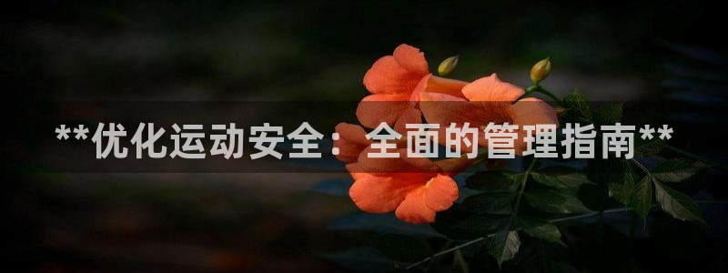 必一运动sport爱