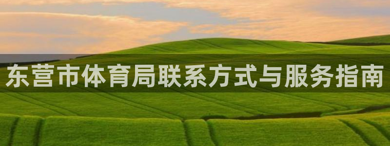 必一体育服下载最新版