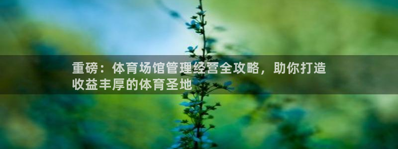 必一体育最新官网入口