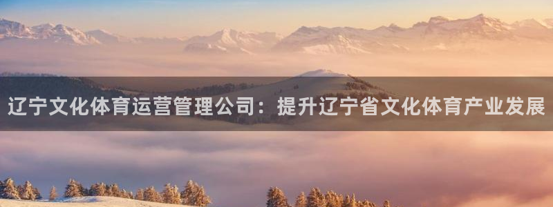 必一体育验证码：辽宁