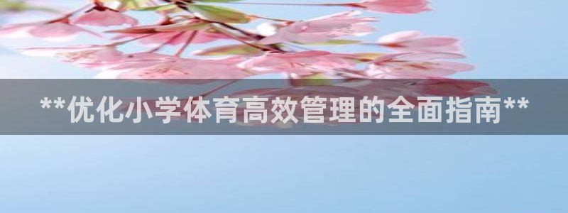 必一体育在线玩：**