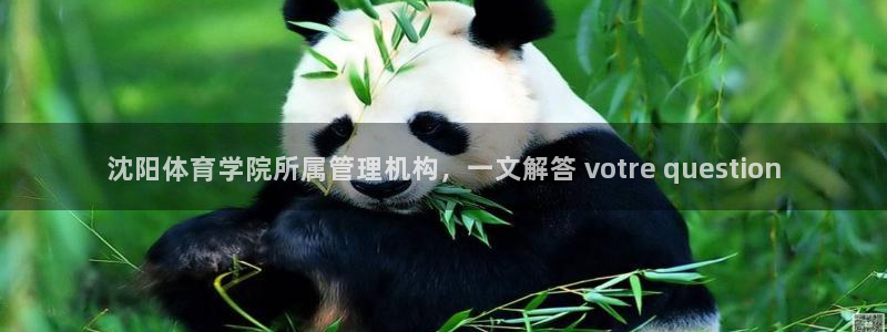 必一体育怎么下载：沈