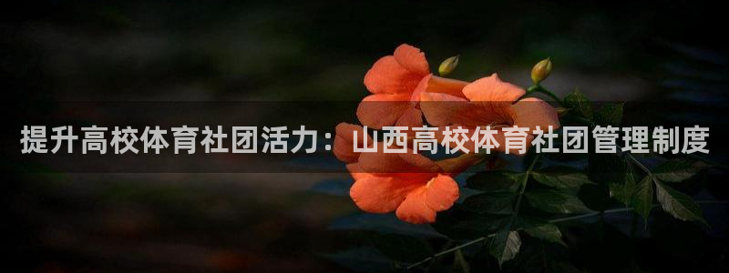 必一运动官网平台：提