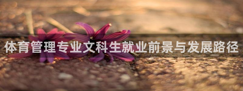 必一体育在线玩：体育