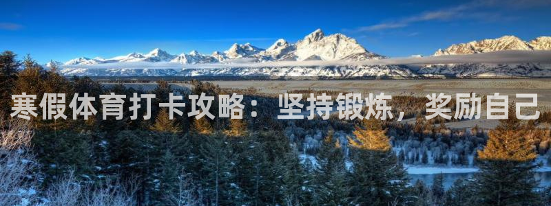 必一体育官方app下