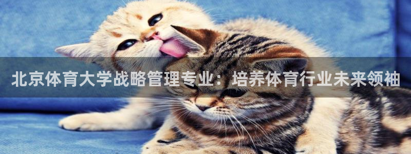 必一运动 b 体育素