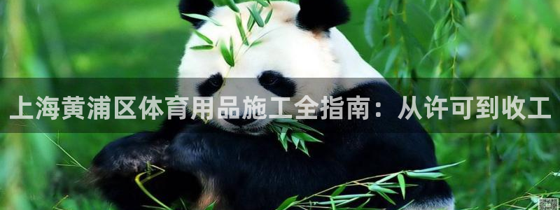 必十二和必一的副作用