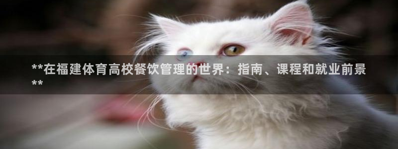 必一体育网页版登录：
